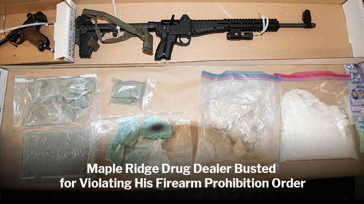Maple Ridge Drug Dealer Busted for Violating His Firearm Prohibition Order